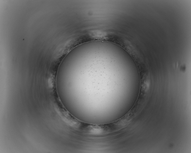 X0000112360658200908201504