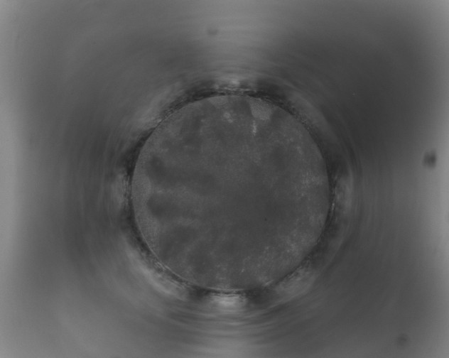 X0000112360659200908201504