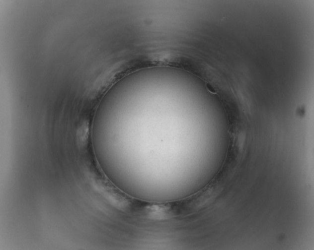 X0000112360660200908201504