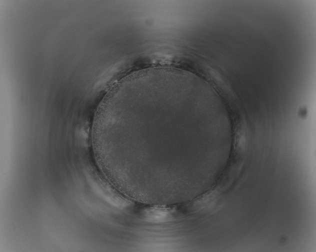 X0000112360661200908201504