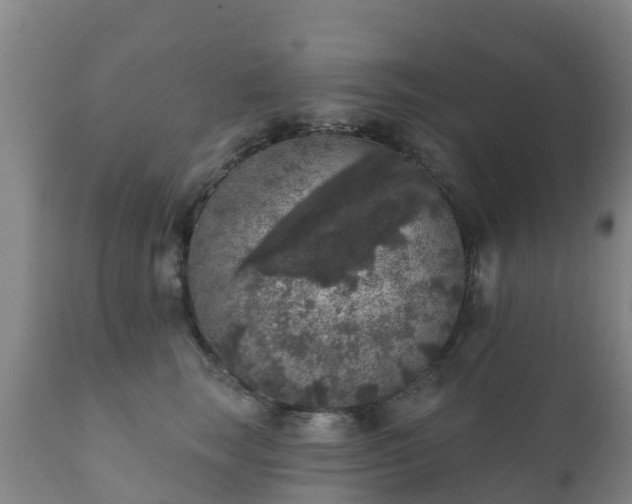 X0000112360663200908201504