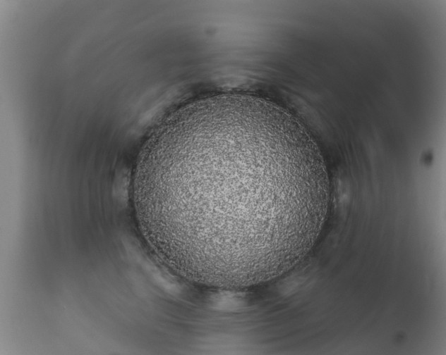 X0000112360664200908201504