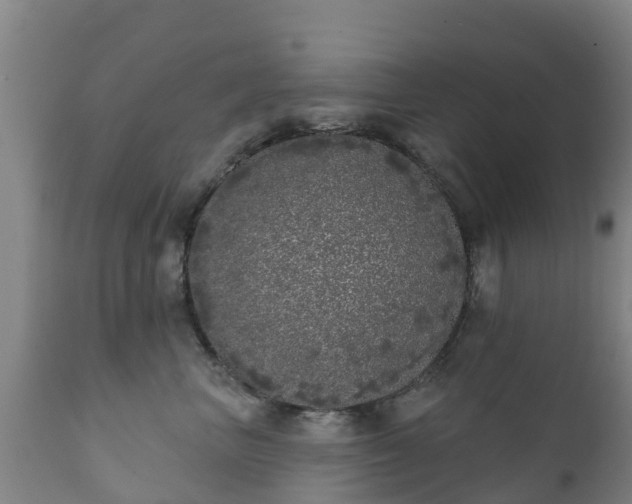 X0000112360667200908201504