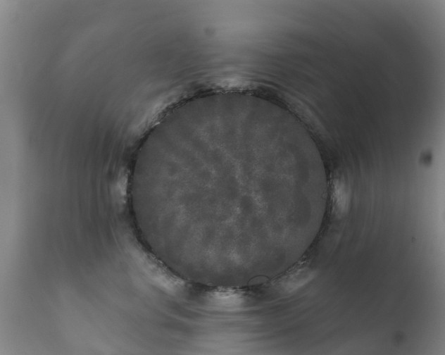 X0000112360668200908201504