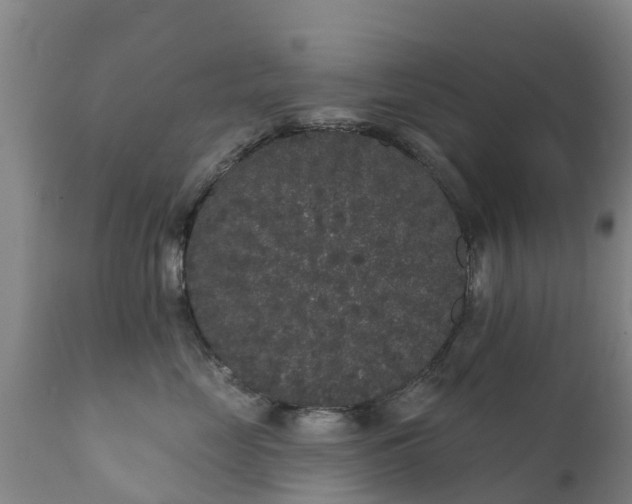 X0000112360669200908201504