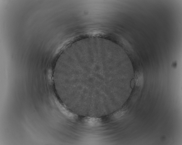 X0000112360670200908201504