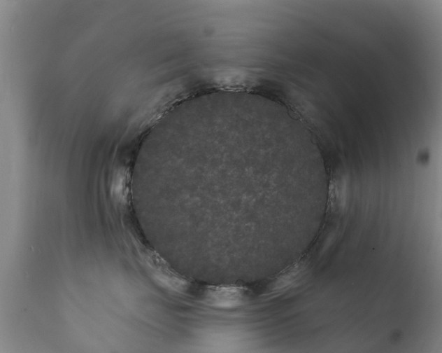 X0000112360671200908201504