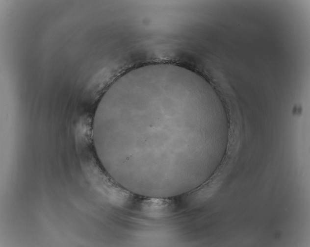 X0000112360672200908201504