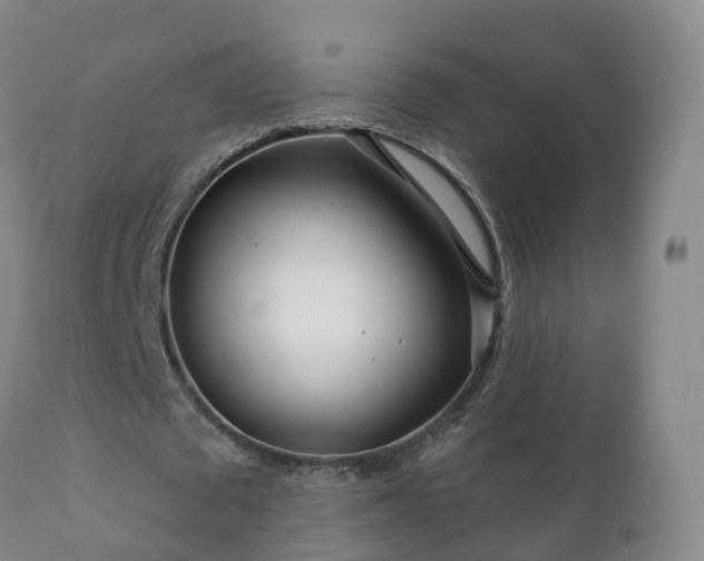 X0000112360673200908201504