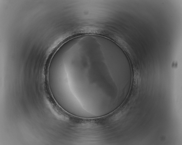 X0000112360674200908201504