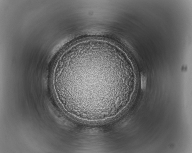 X0000112360675200908201504