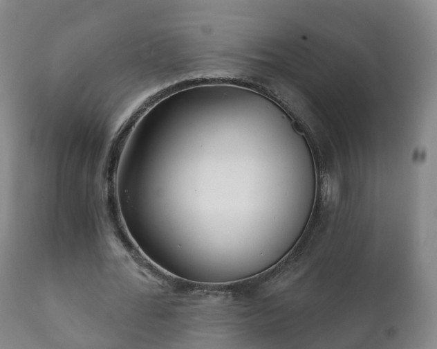 X0000112360676200908201504