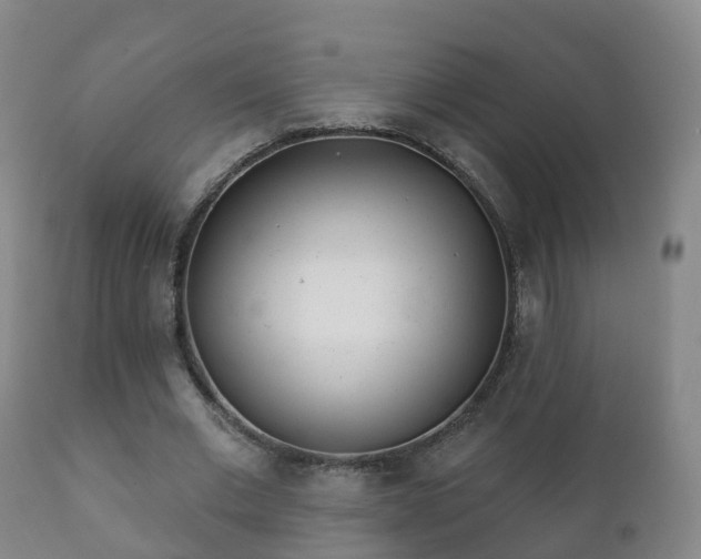 X0000112360677200908201504