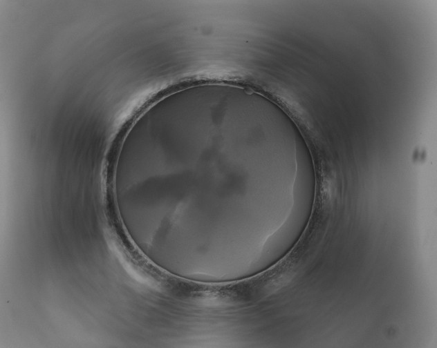 X0000112360678200908201504