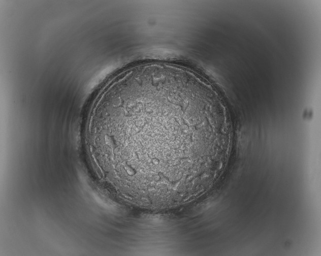 X0000112360679200908201504