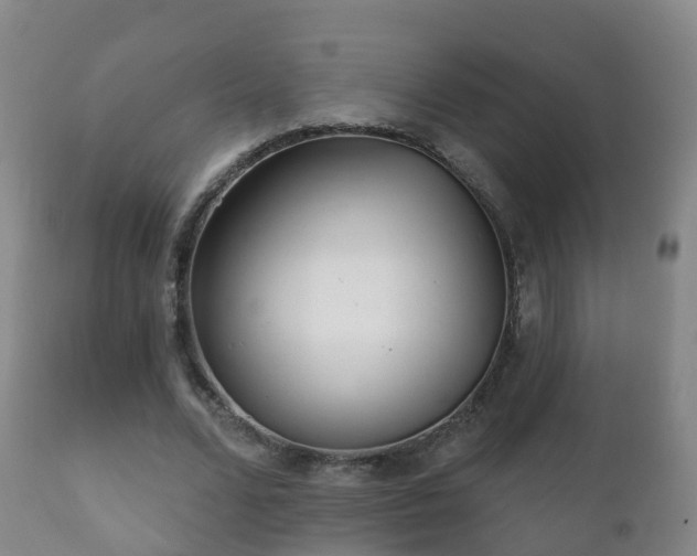 X0000112360680200908201504