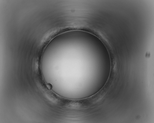 X0000112360685200908201503