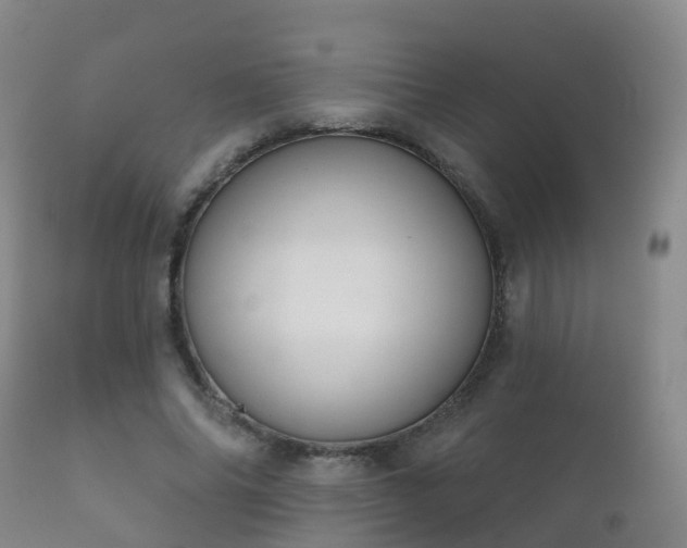 X0000112360686200908201503