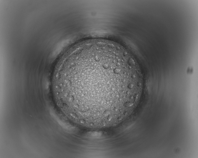 X0000112360687200908201503