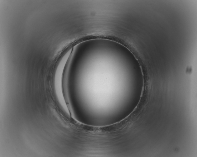 X0000112360688200908201503