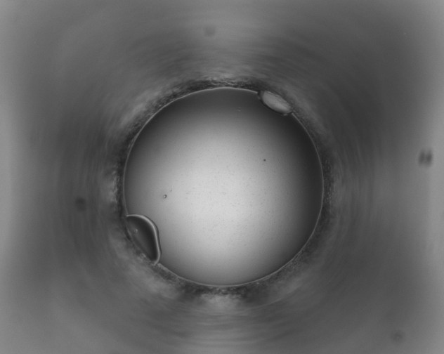 X0000112360689200908201503