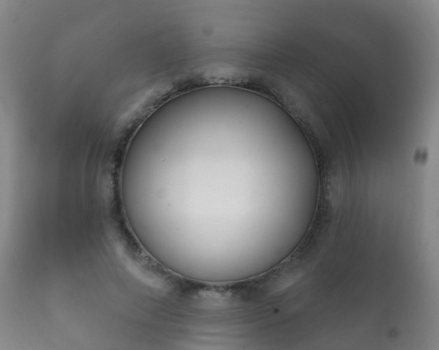 X0000112360690200908201503