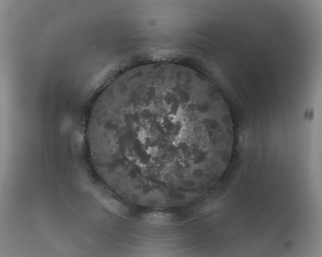 X0000112360691200908201503