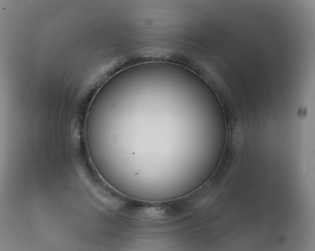 X0000112360692200908201503