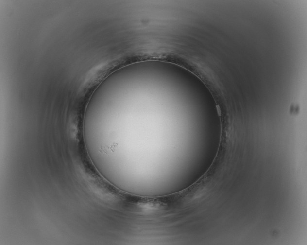 X0000112360693200908201503