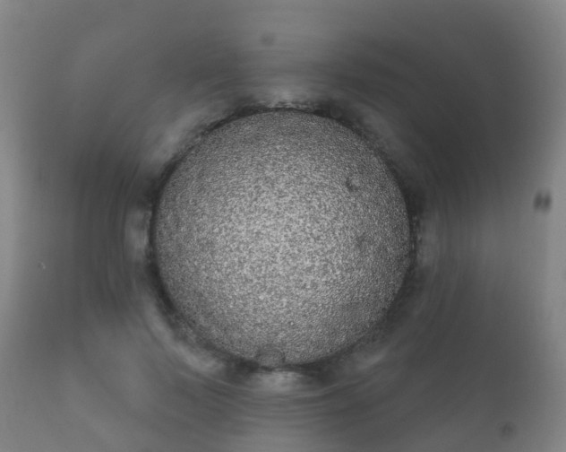 X0000112360695200908201503