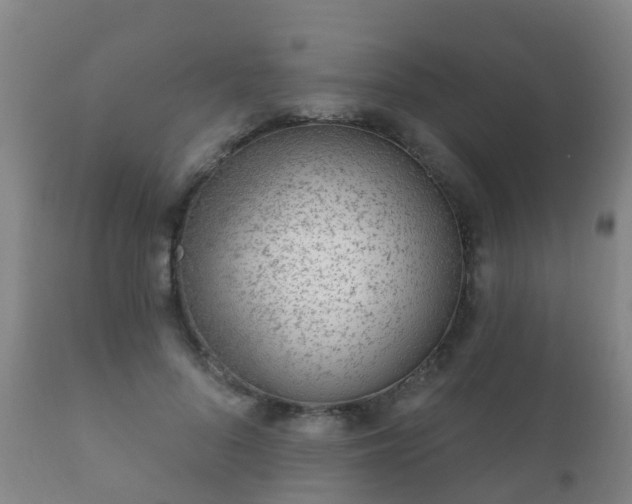 X0000112360696200908201503