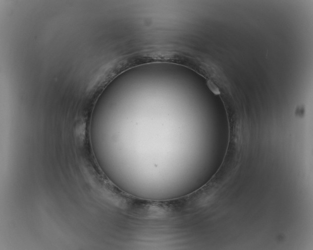 X0000112360697200908201503