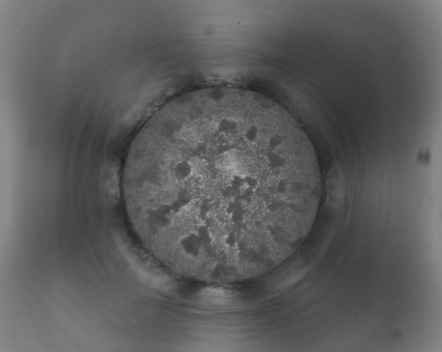 X0000112360699200908201503