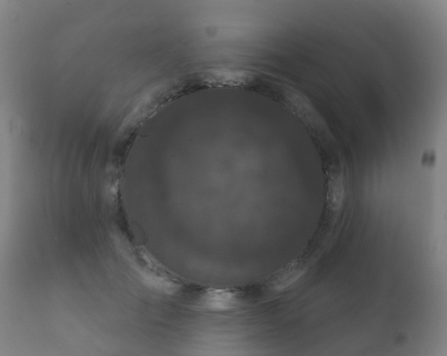 X0000112360701200908201503