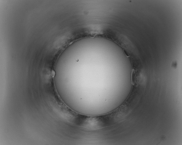 X0000112360704200908201503