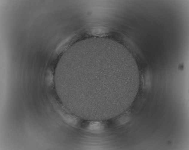 X0000112360705200908201503