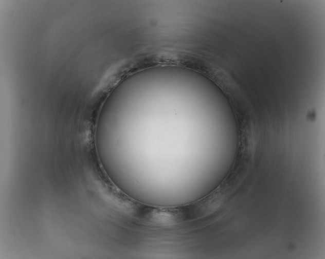 X0000112360706200908201503