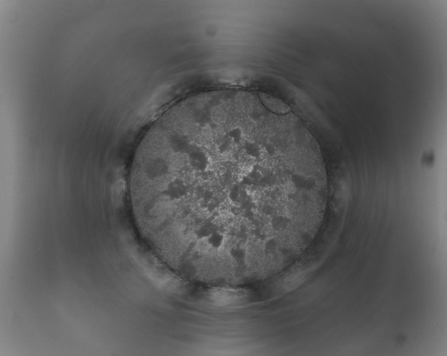 X0000112360707200908201503