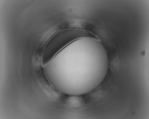 X0000112360708200908201503