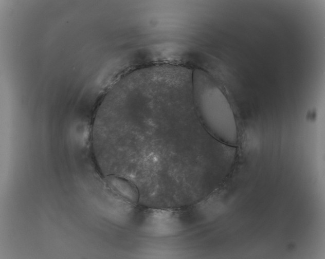 X0000112360709200908201503