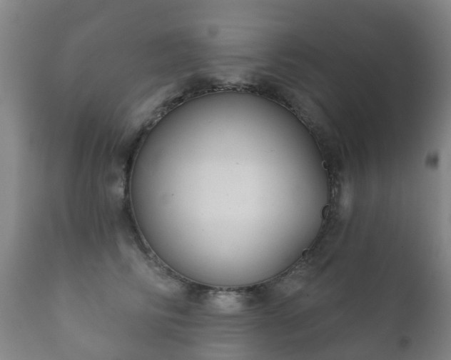 X0000112360710200908201503