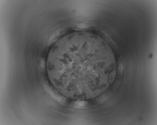 X0000112360711200908201503