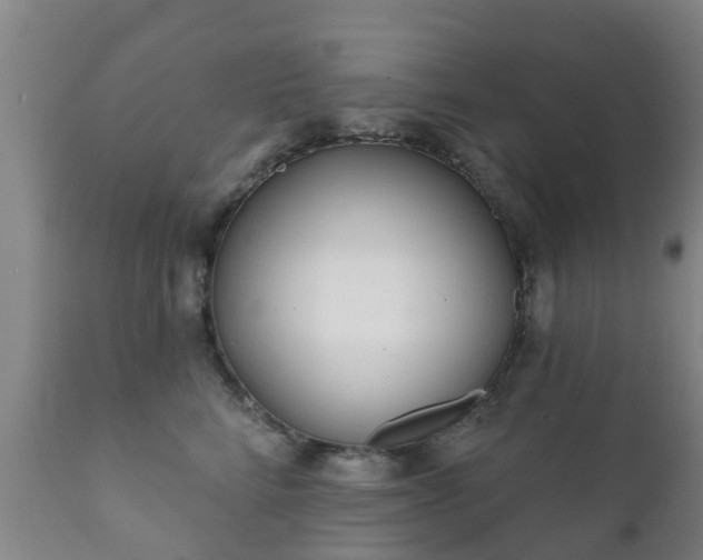 X0000112360712200908201503