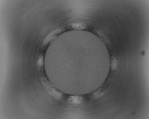 X0000112360713200908201503