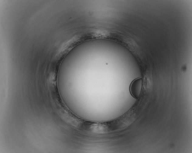 X0000112360714200908201503