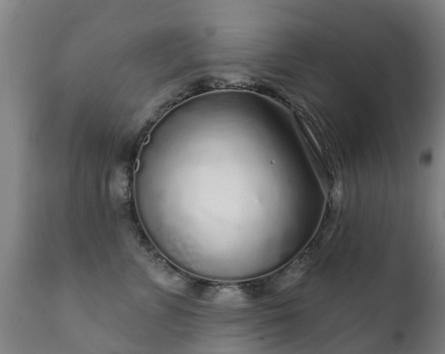 X0000112360715200908201503