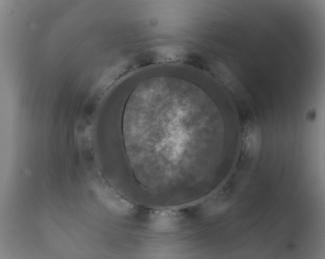 X0000112360716200908201503