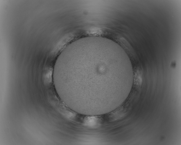 X0000112360717200908201503