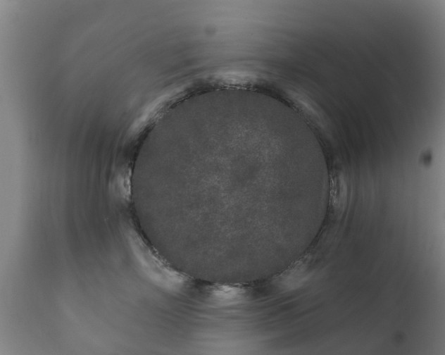 X0000112360718200908201503