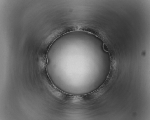 X0000112360719200908201503